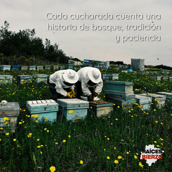 Miel de Brezo apicolas3